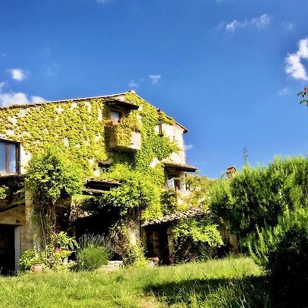Podere Patrignone Guest House Castellina in Chianti Exterior photo