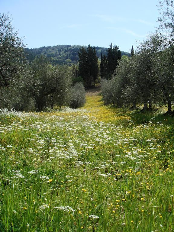 Podere Patrignone Guest House Castellina in Chianti Exterior photo