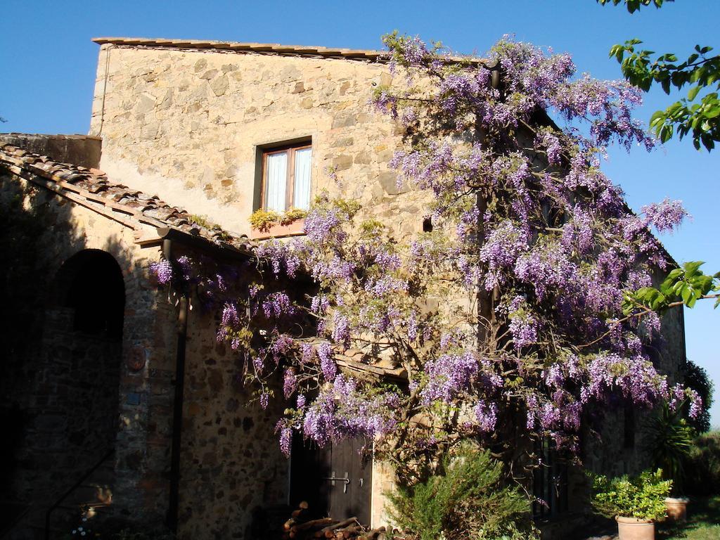 Podere Patrignone Guest House Castellina in Chianti Exterior photo