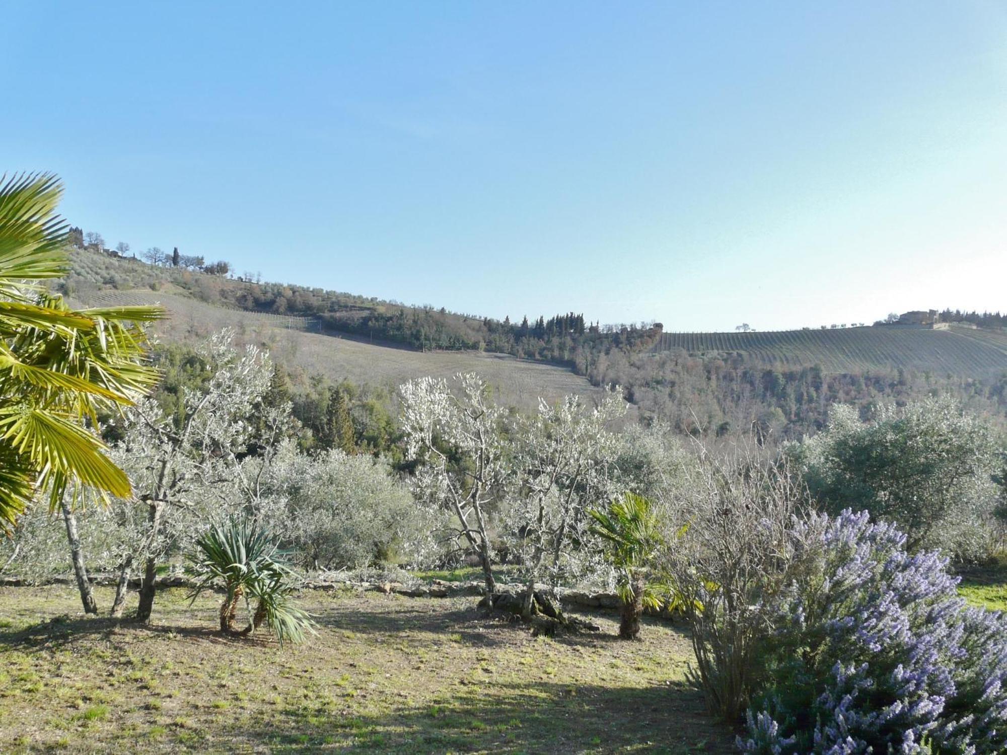 Podere Patrignone Guest House Castellina in Chianti Room photo