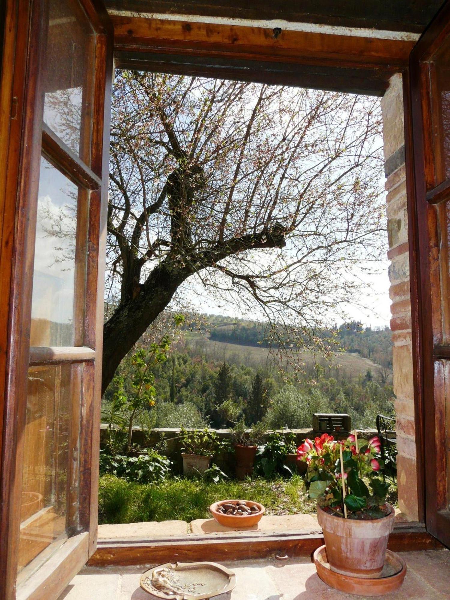 Podere Patrignone Guest House Castellina in Chianti Room photo